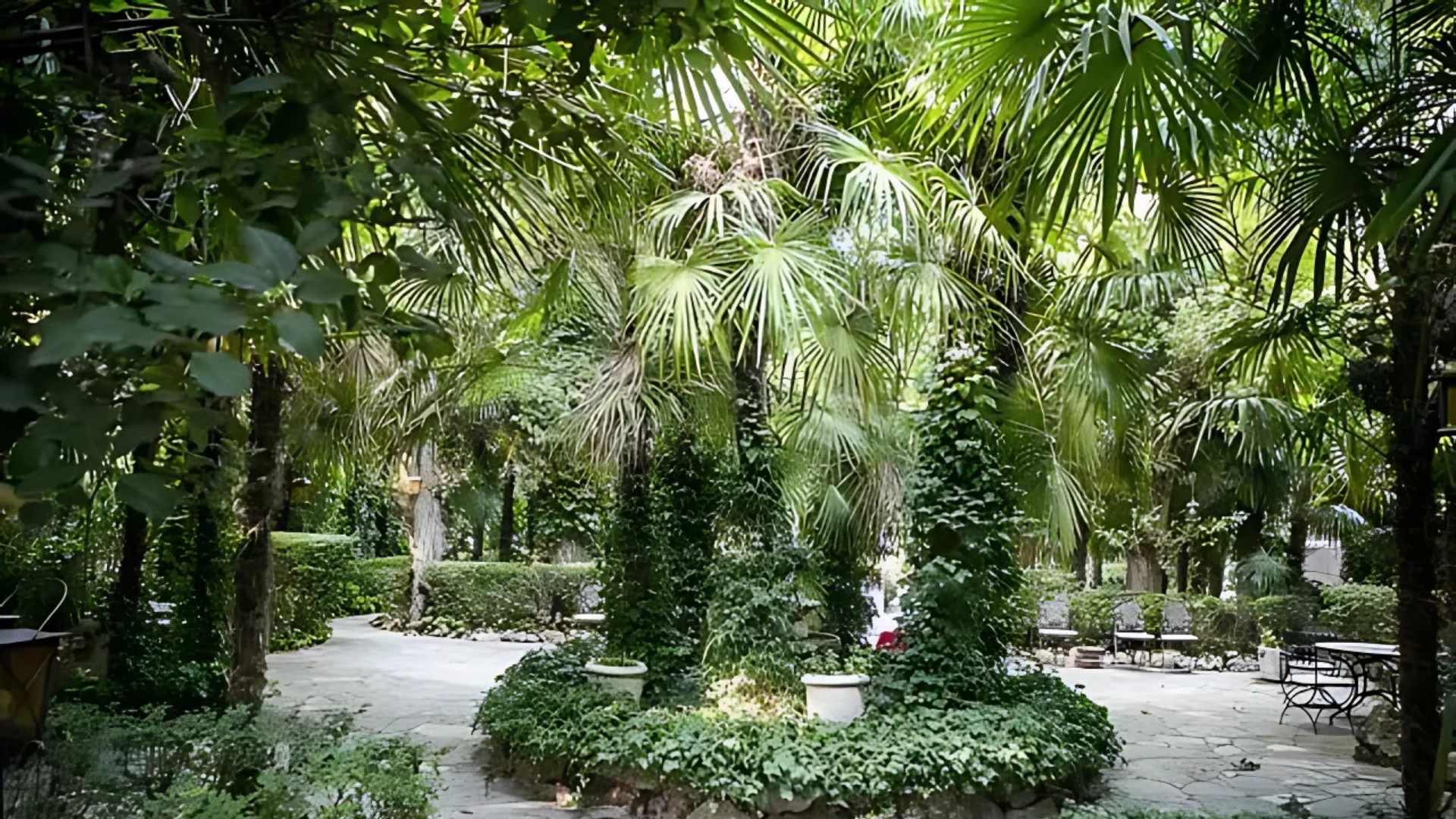 Finca 3 - Imagen 3